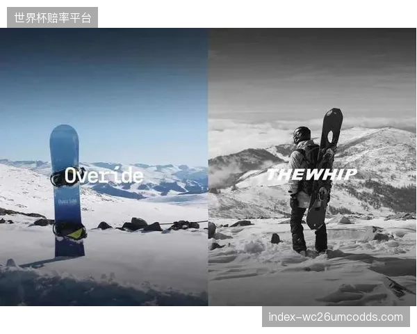 微型无源定位芯片将成为跨国滑雪装备托运绝对标配